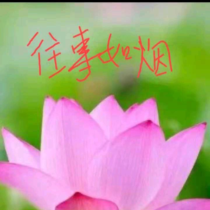 水墨青莲