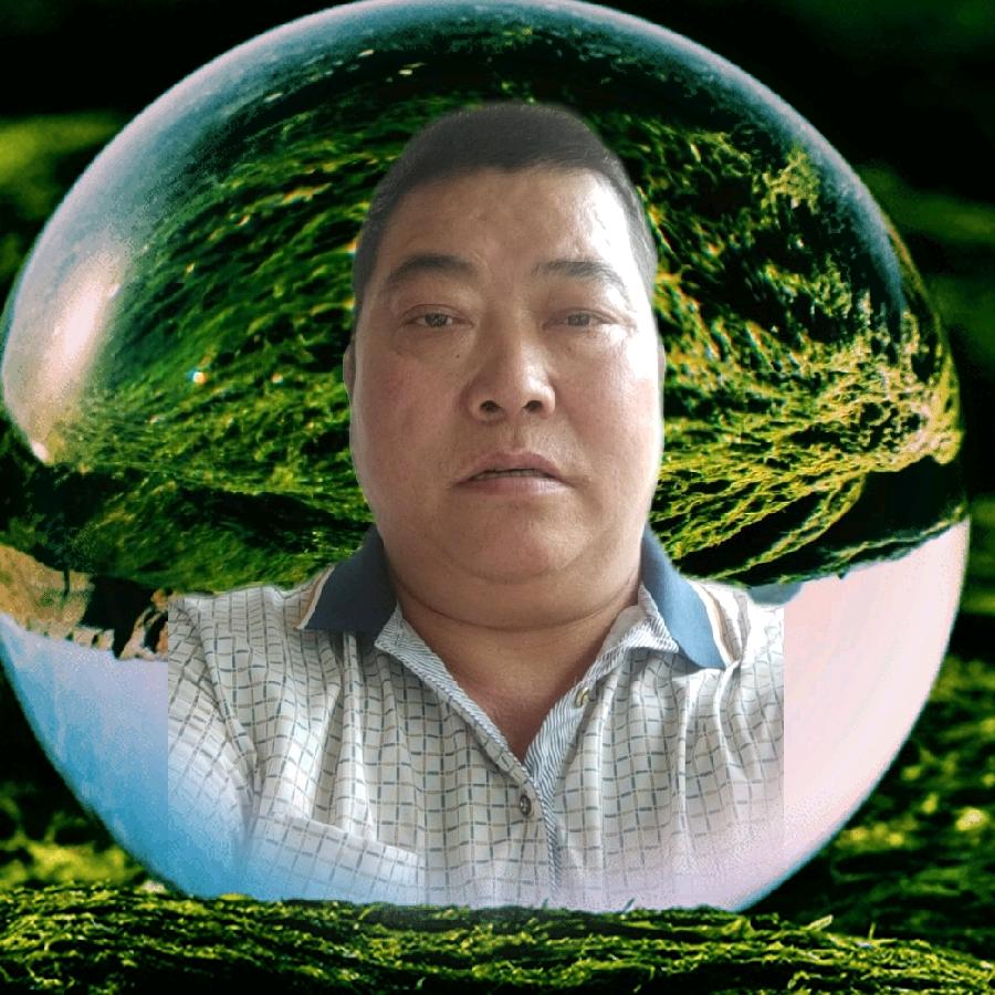 坐车专线