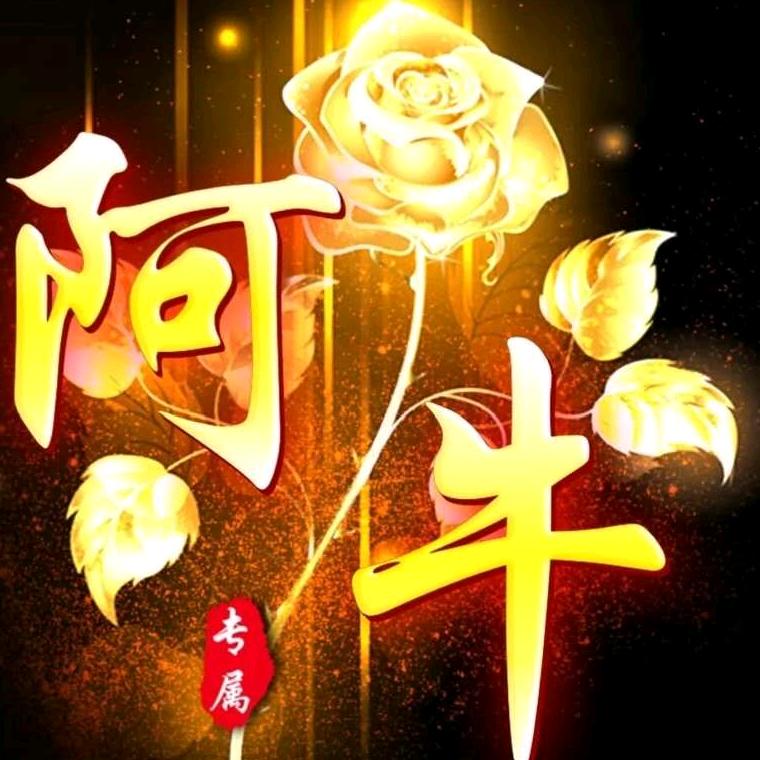 @阿牛哥