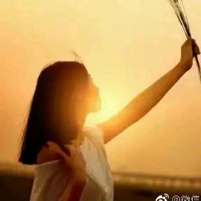 &书嘉&