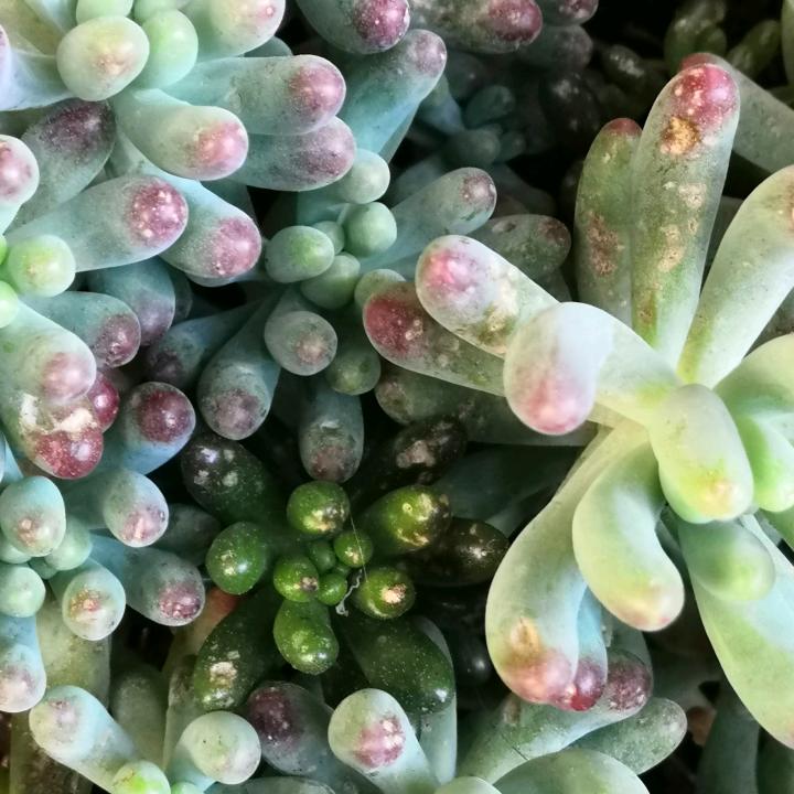 想你一生