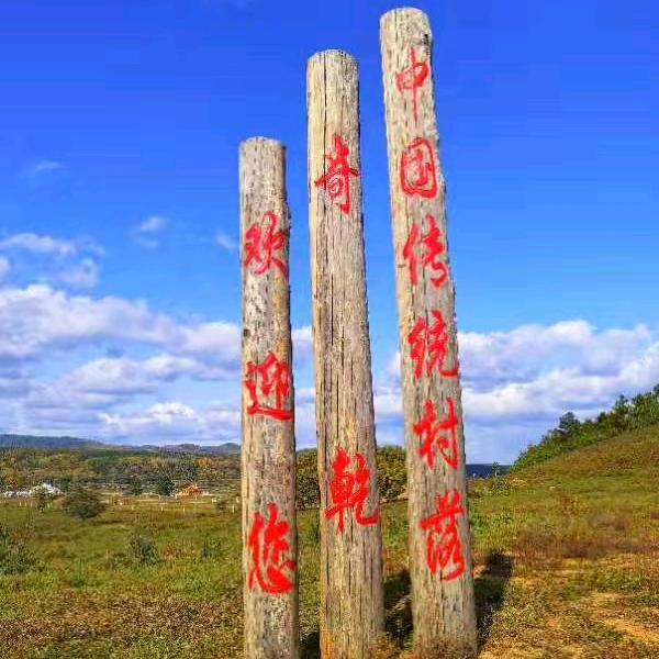 奇乾二黑家庭游
