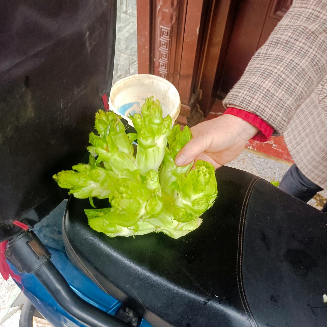 肖哥