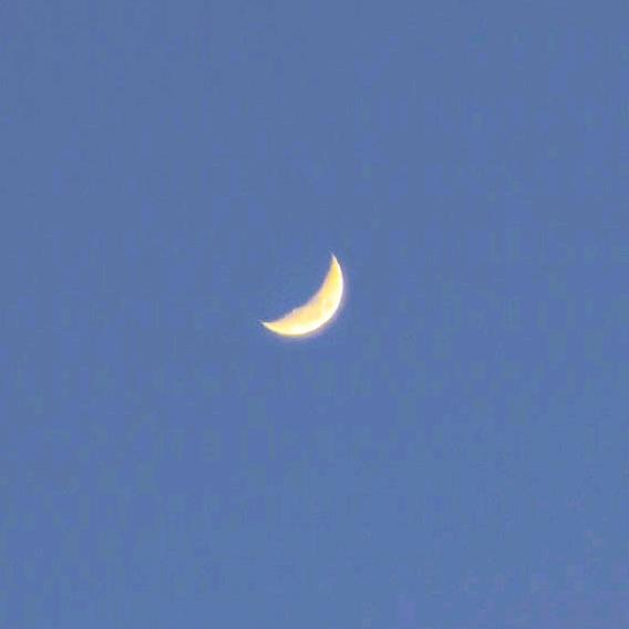 吃不胖的蓝胖子