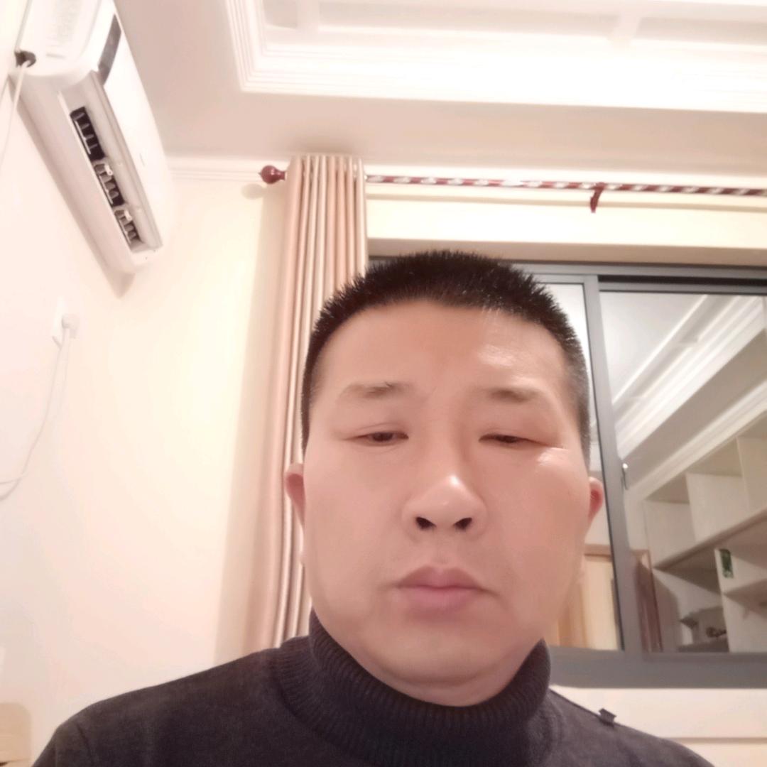 迷茫的兔