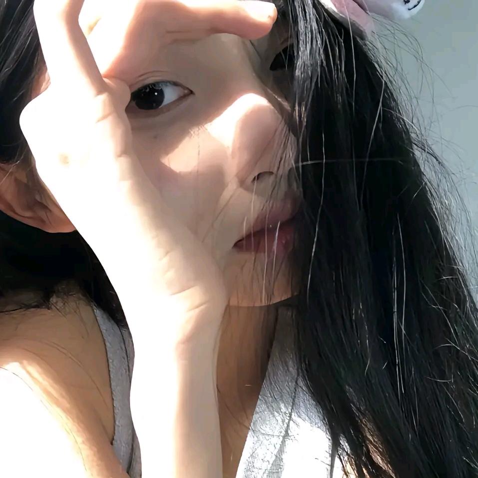 茶杯犬