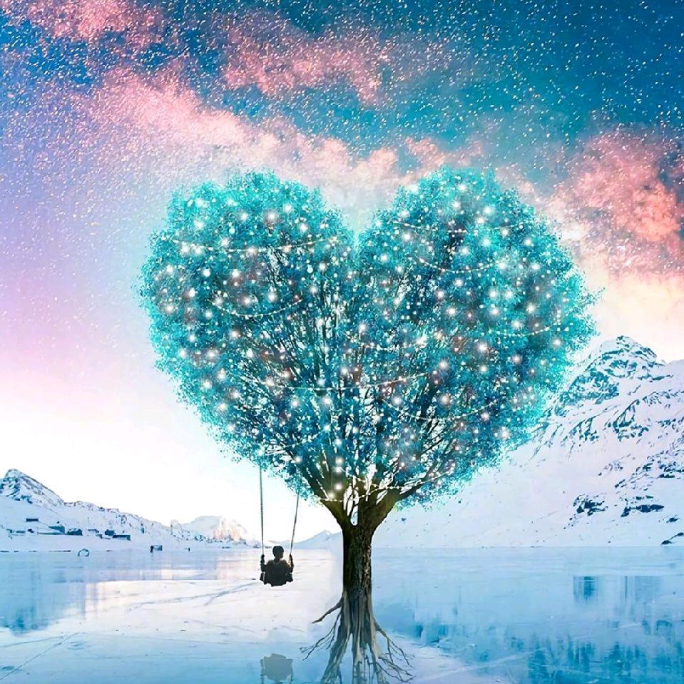 我是一只萤火虫