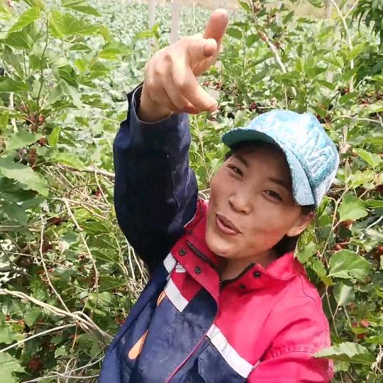 农村晓静（上8：30）