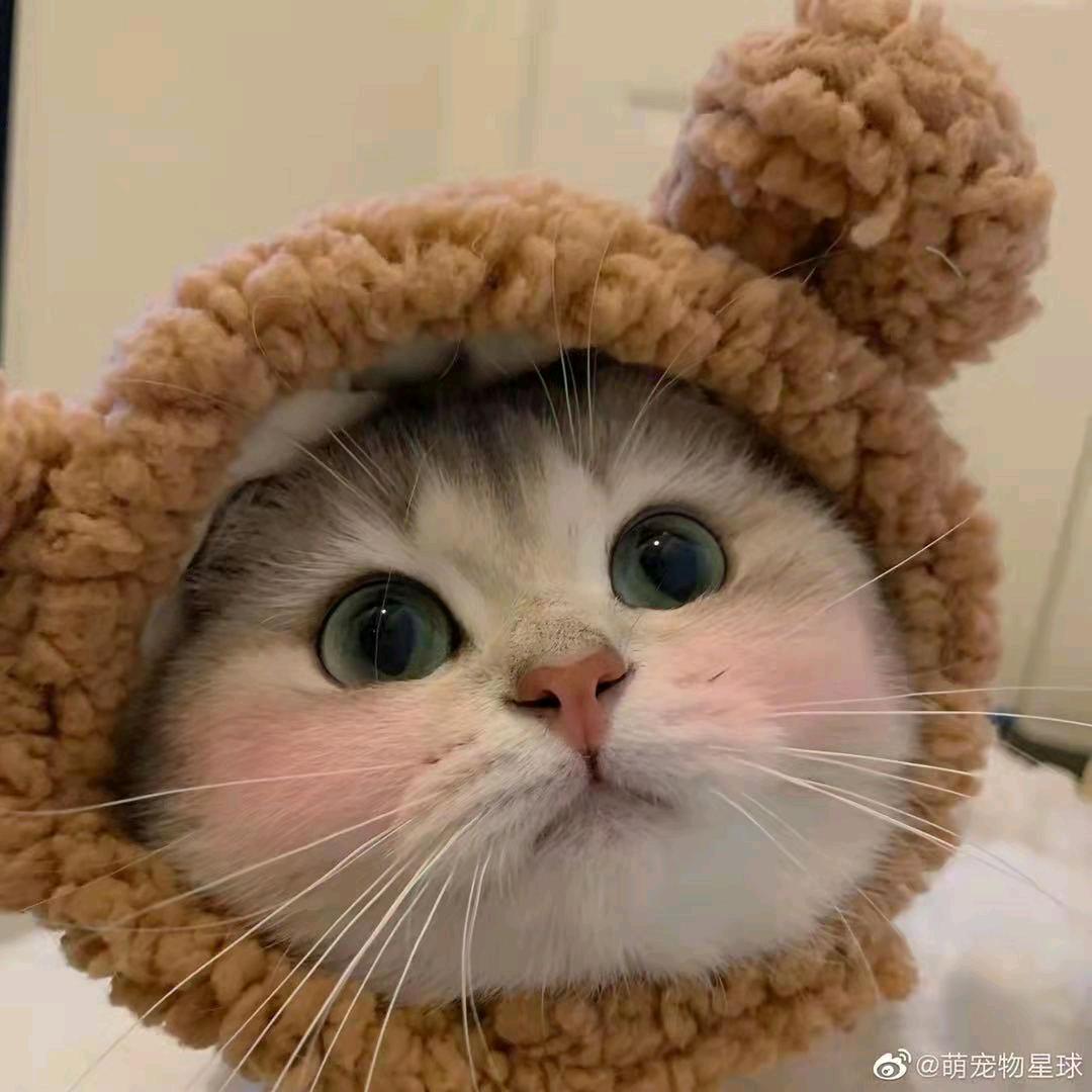 哟西的兰
