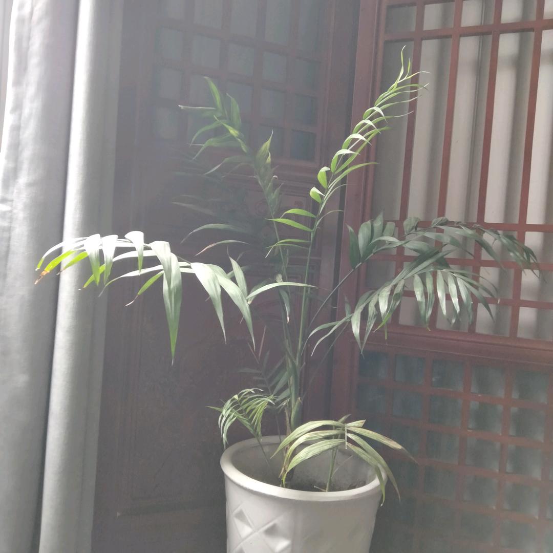 黄山太平湖