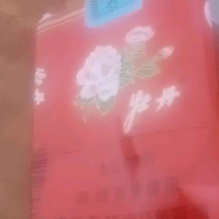 龙氏家族