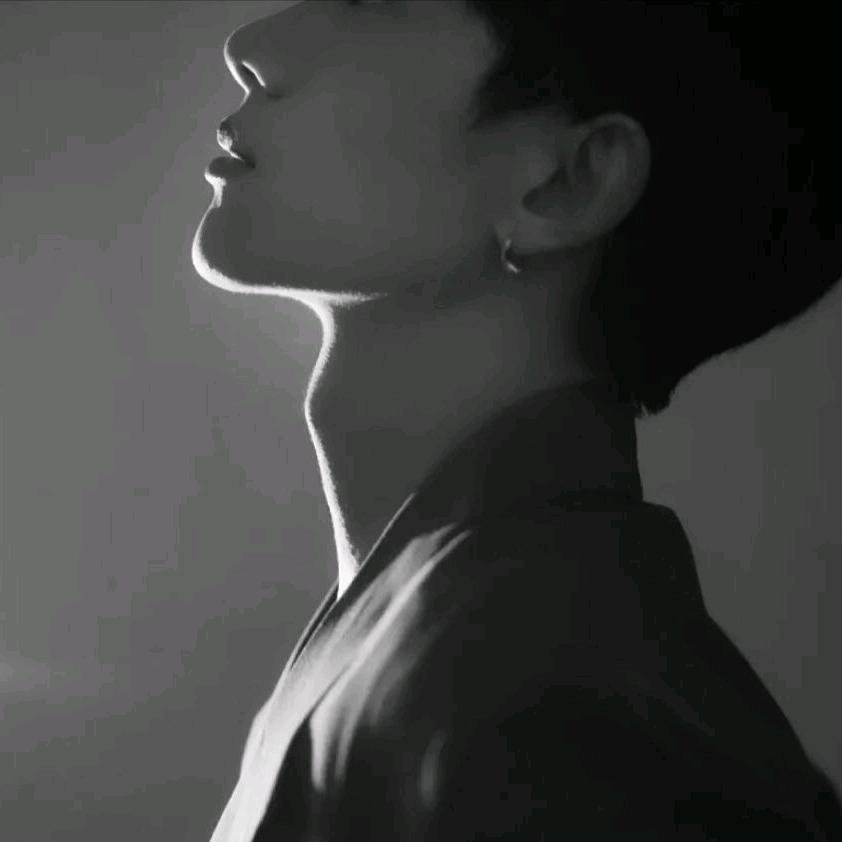 香菜Sir-