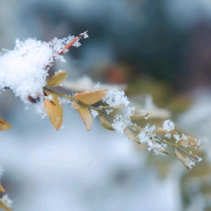 三屯联达手机亮仔