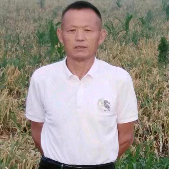 闫哥信息咨询