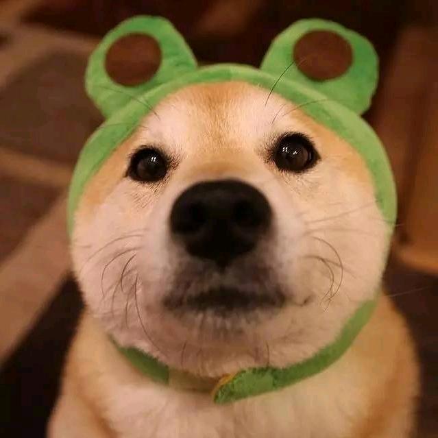 晴明大大