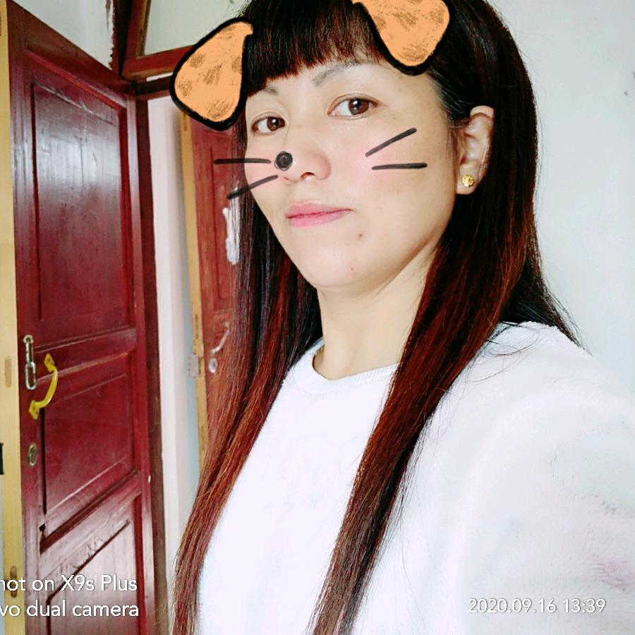 晓珍姐