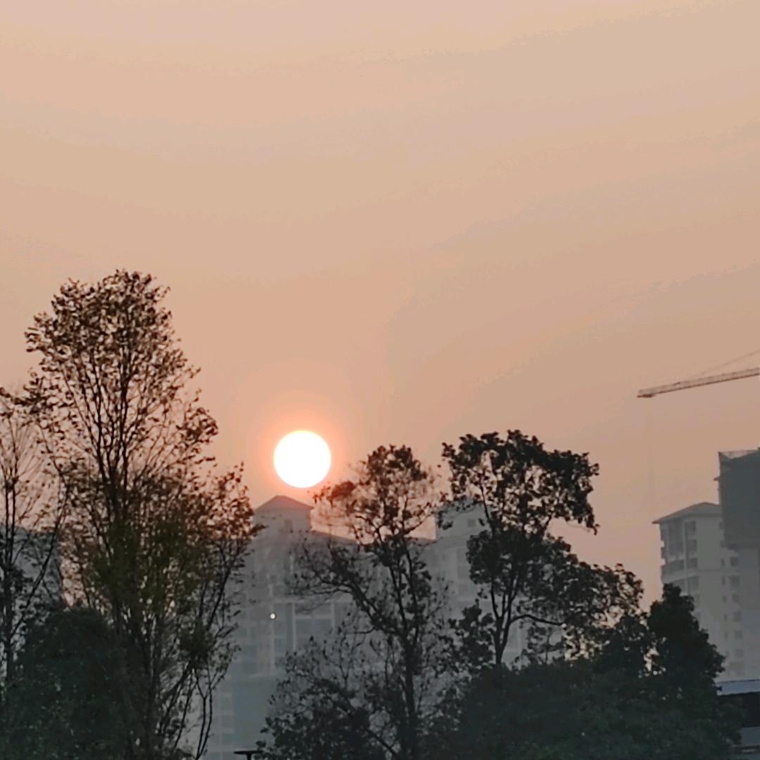浮生ruo尨