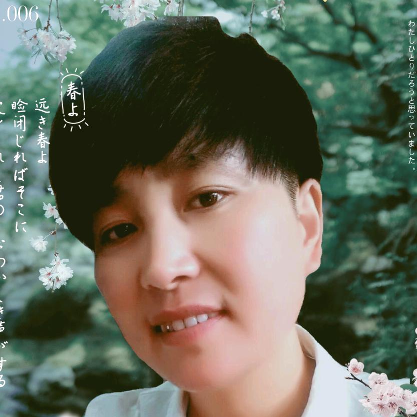 水木清华工程苗木