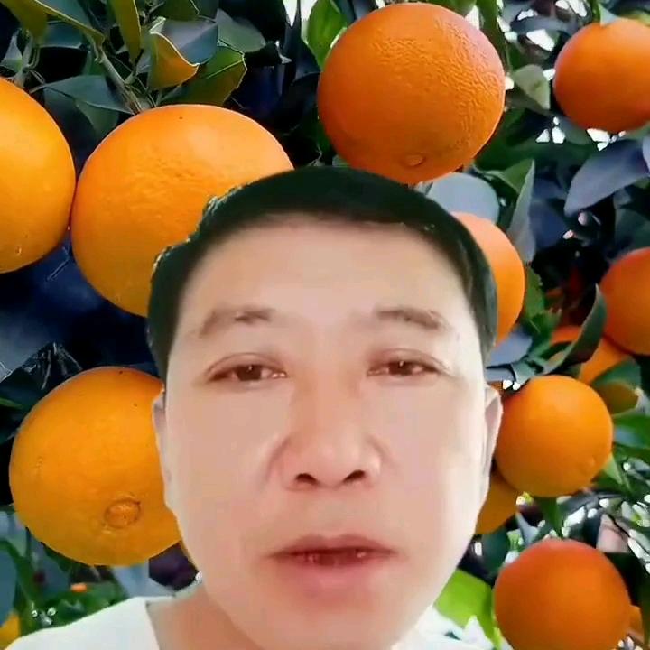 完美人生