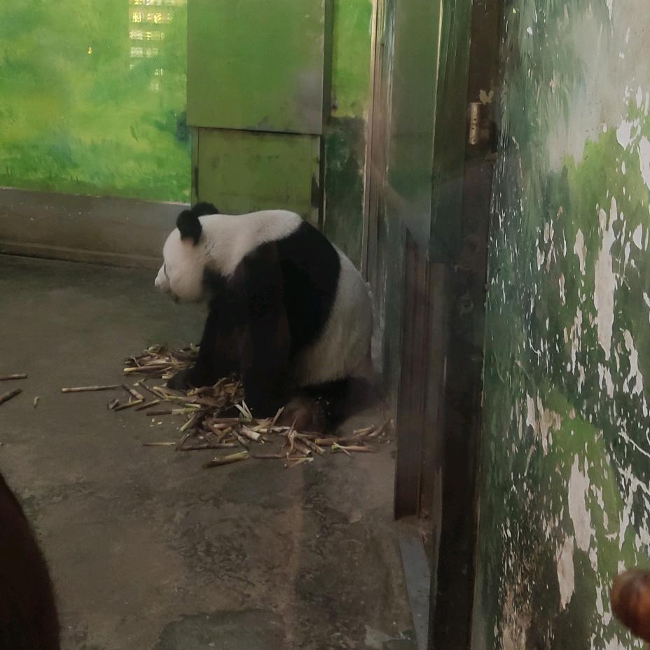 一无所有