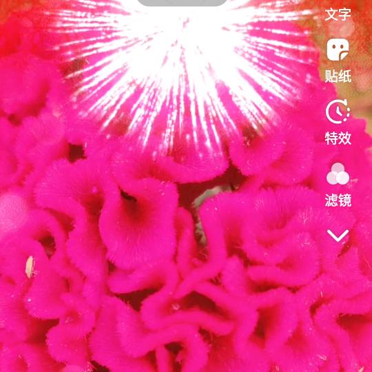 盛唐栋梁