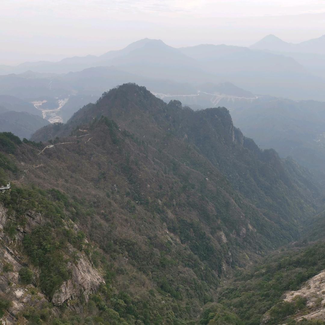 非非然