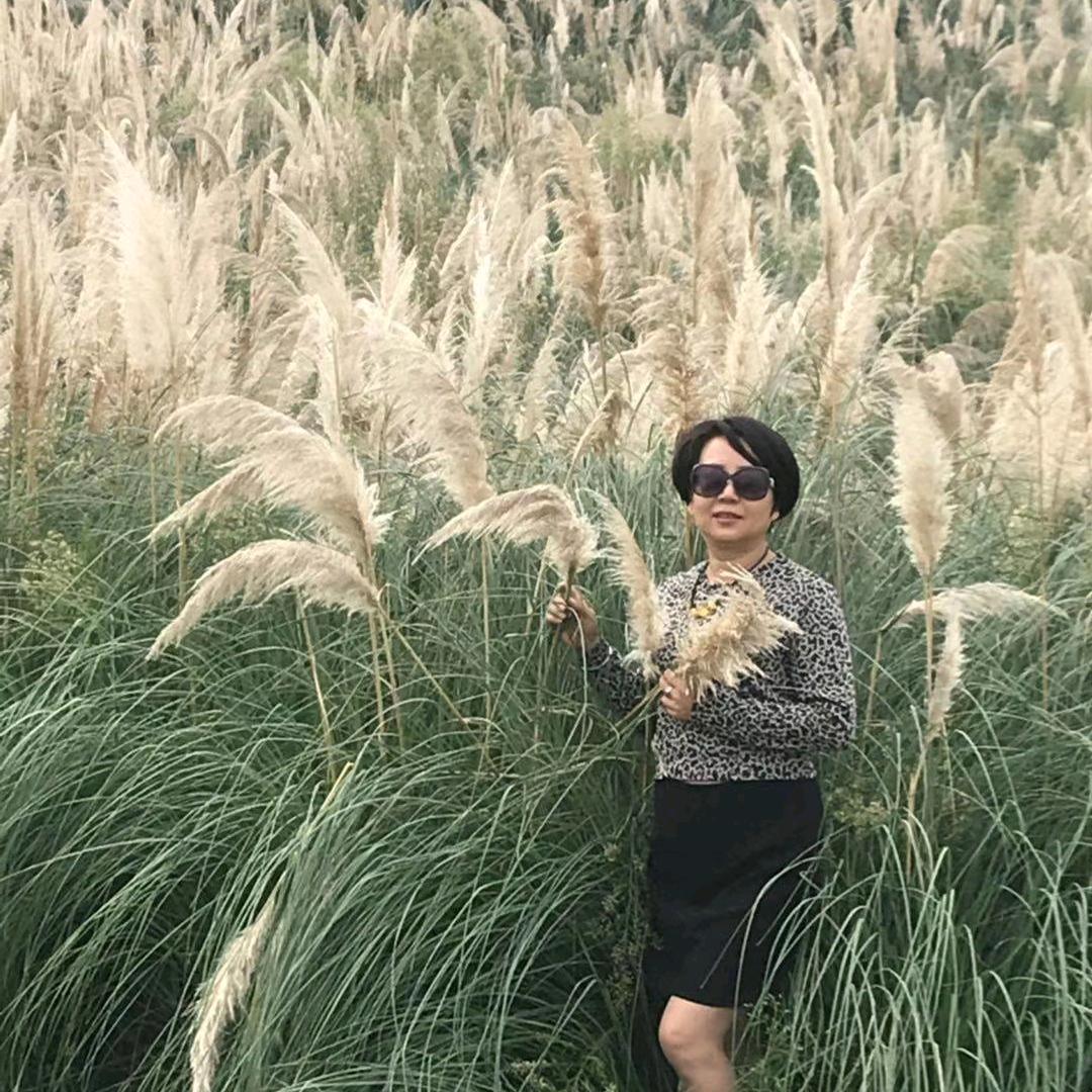 任性的女郎！