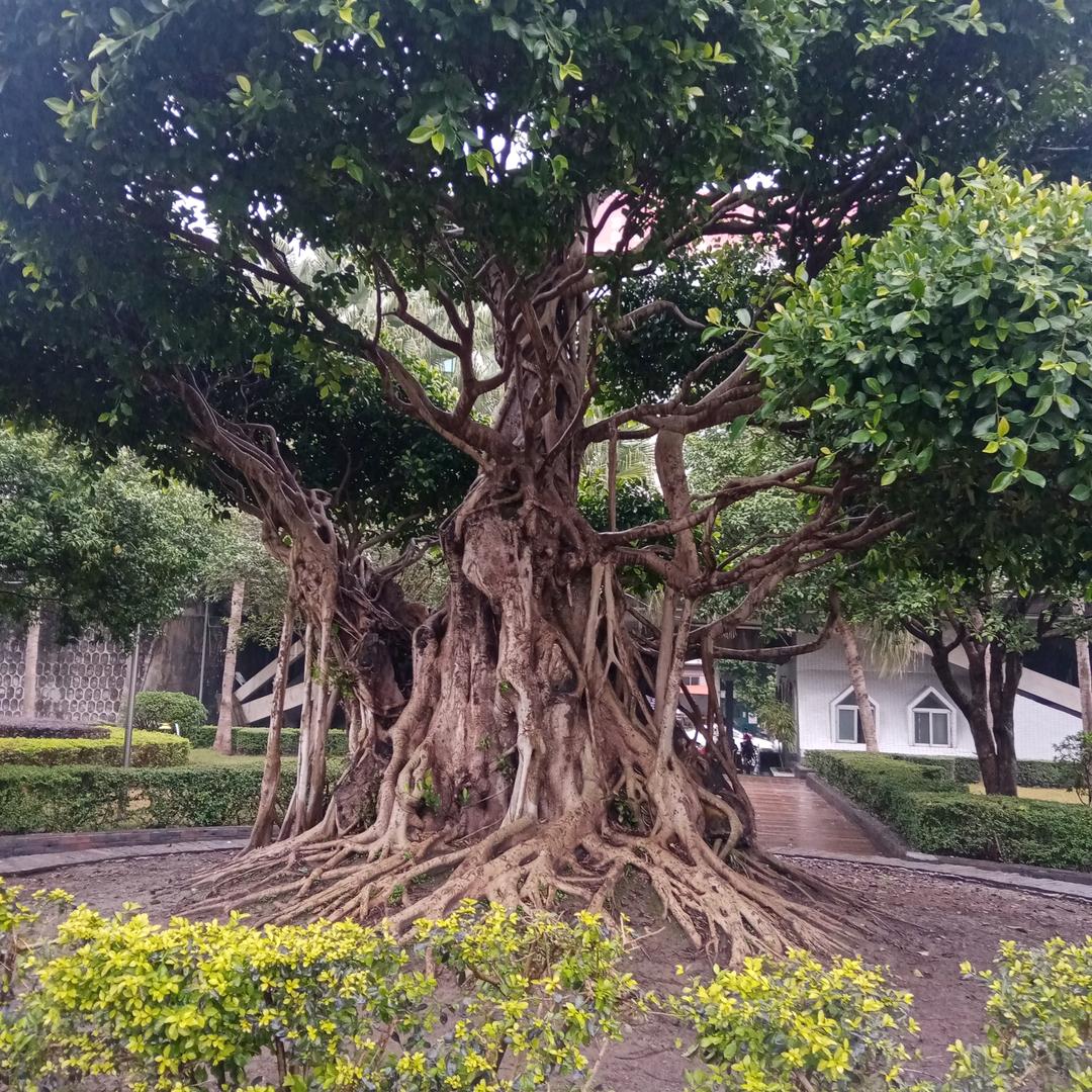 把自己的事业做好