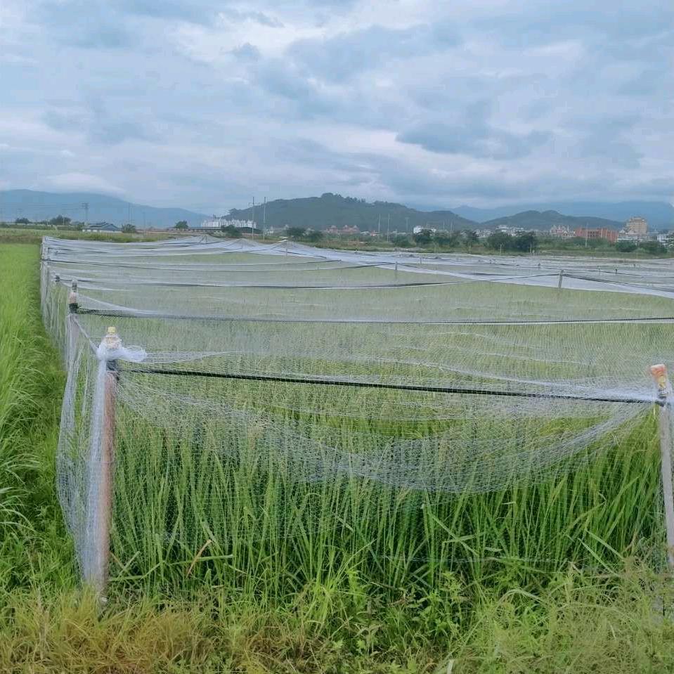 聚合惠农防鸟网厂销