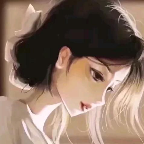 心的港湾