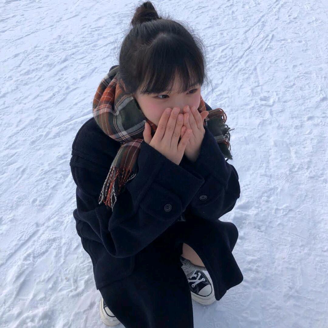 ✨️🐣🐤🐳🐬