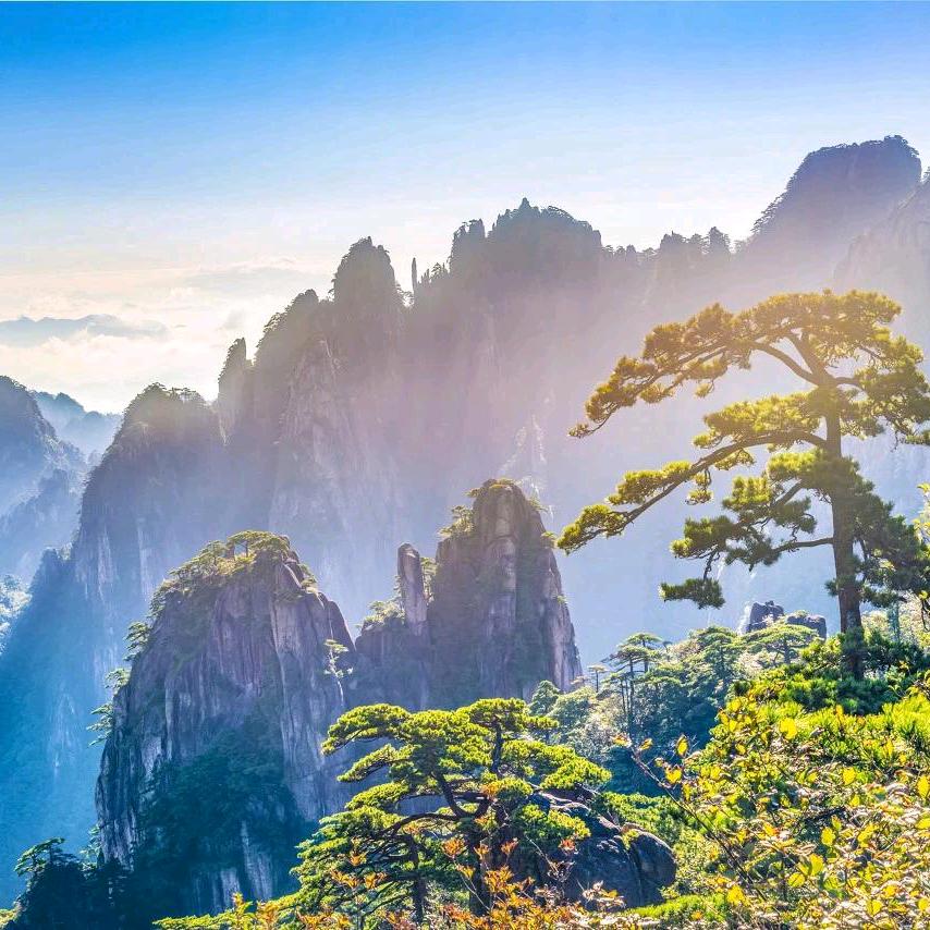 王晓博律师