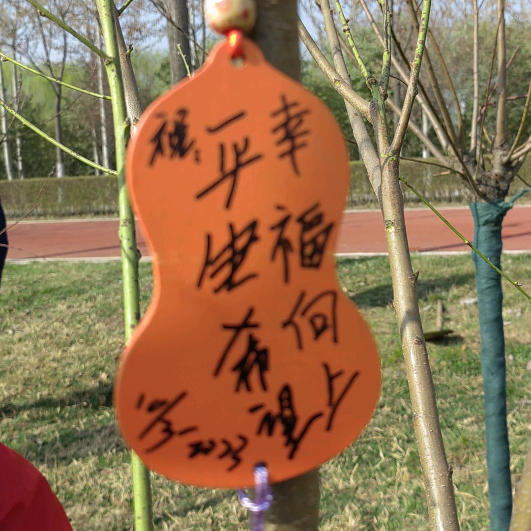 腾飞的铁血雄鹰