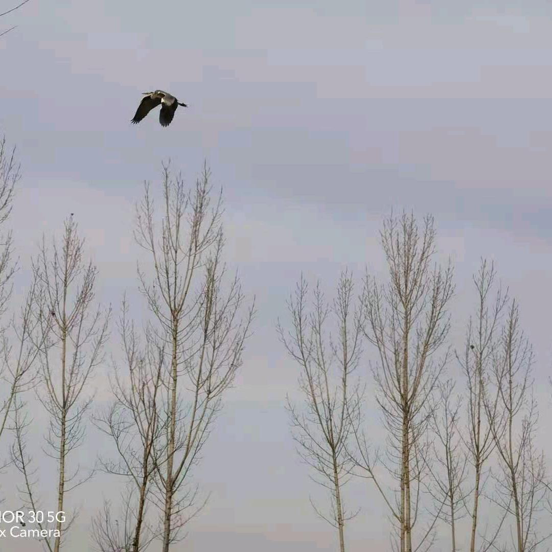 有缘人