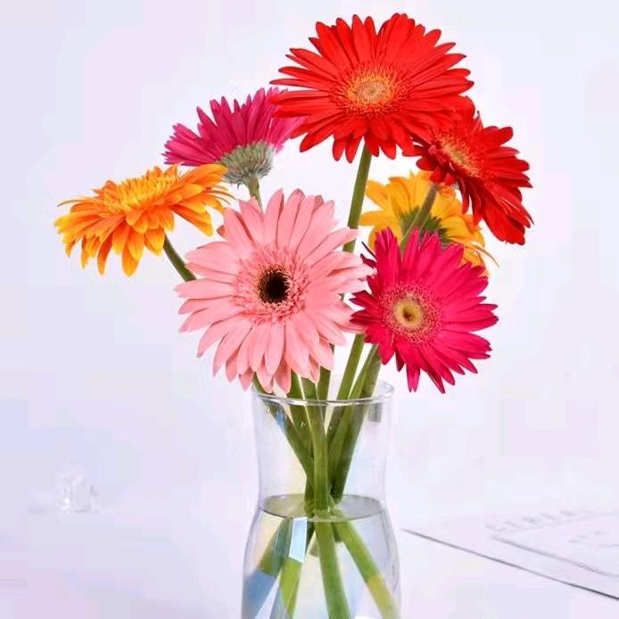 つ゛无名小姐姐