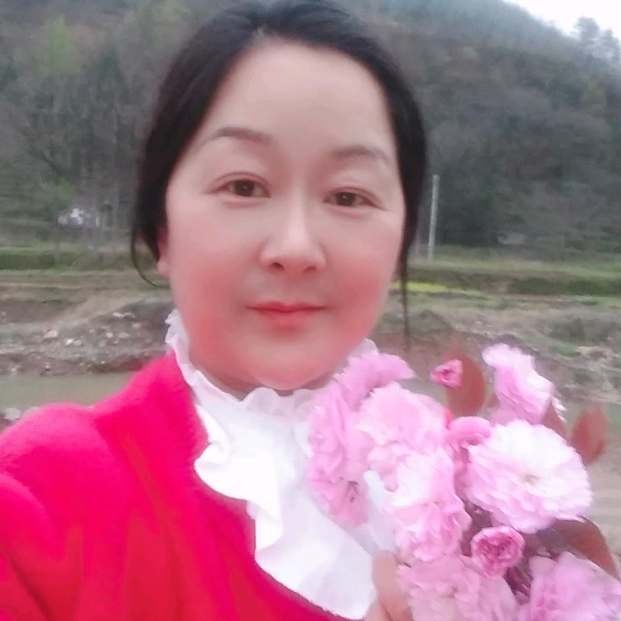 梦随风飞