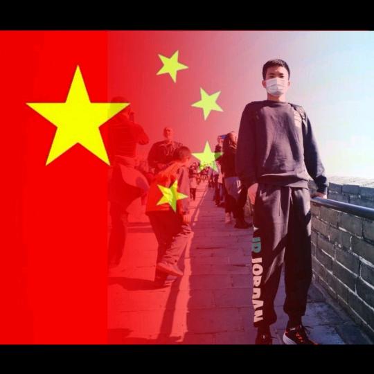 小白杨