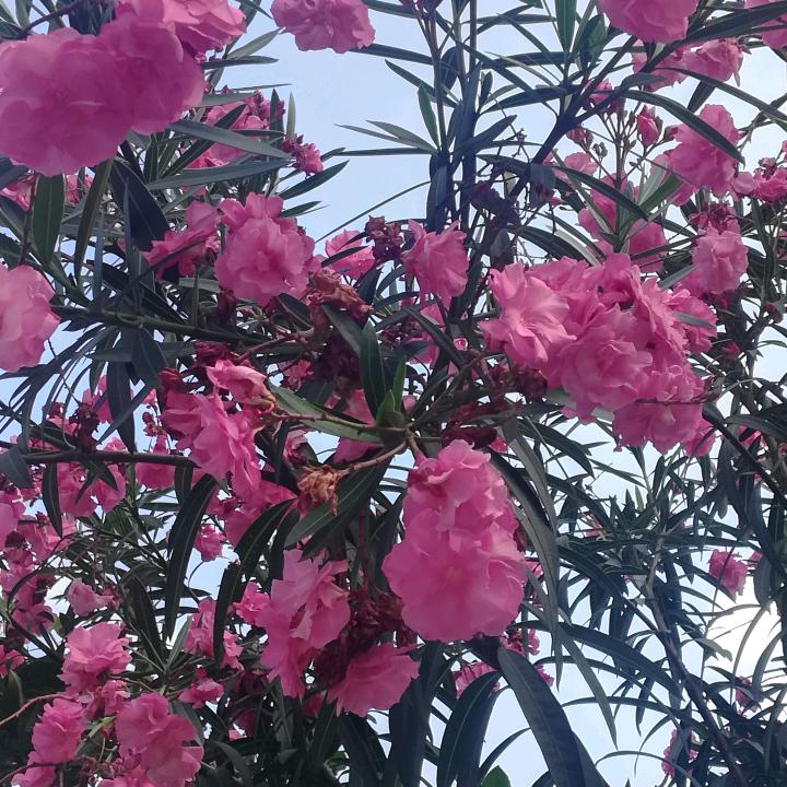 新化县上梅街道闺蜜足浴推拿店