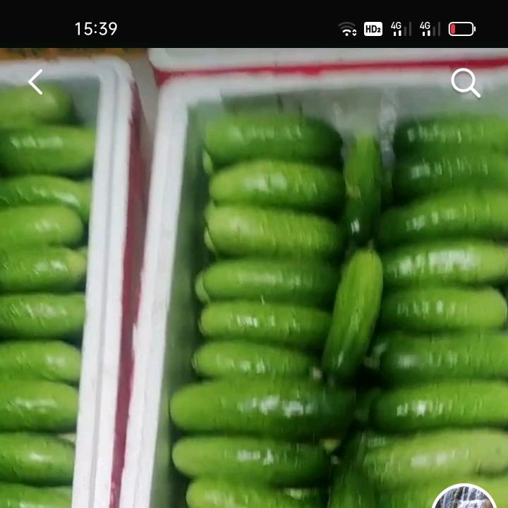 千辞