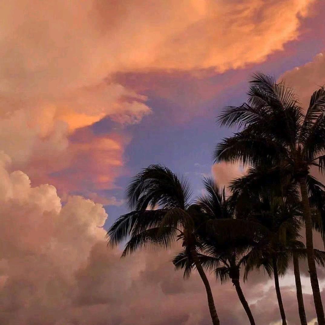 🍀ꦾ谈肖ꦼꦿ风ൢ生᭄꧒