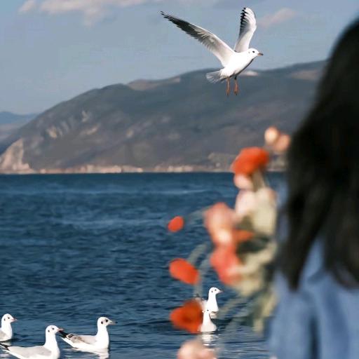 开心快乐每一天哈哈😄