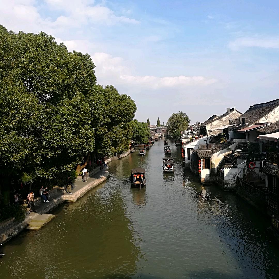 向日葵🌻🌻🌻