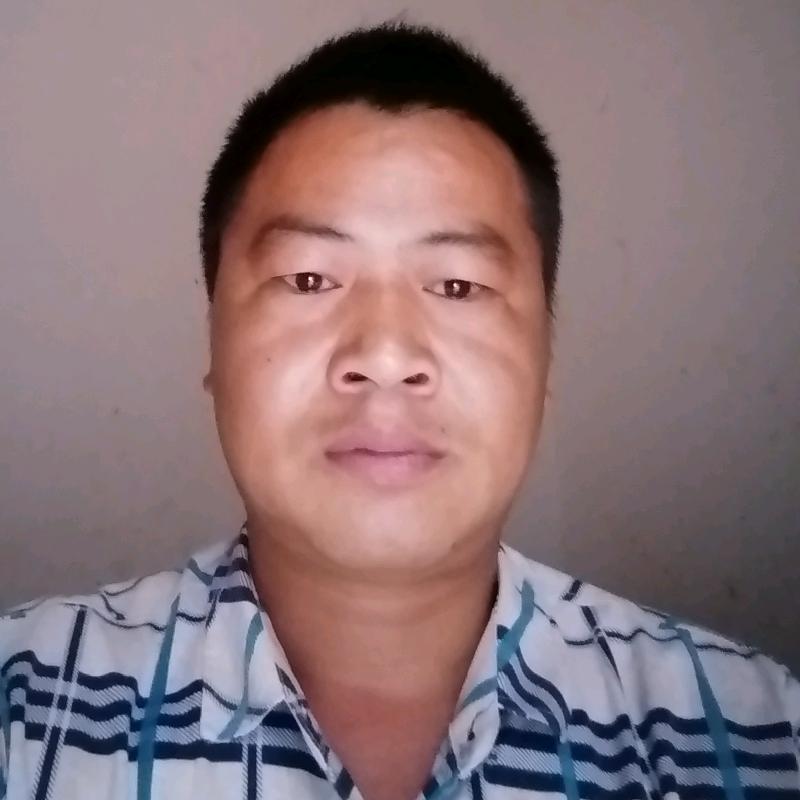 小龙哥哥