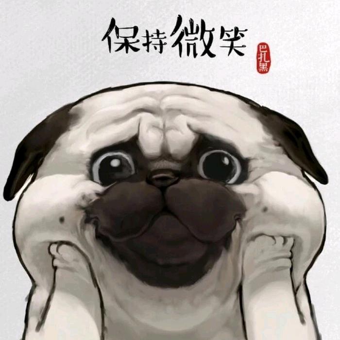 小聪你好