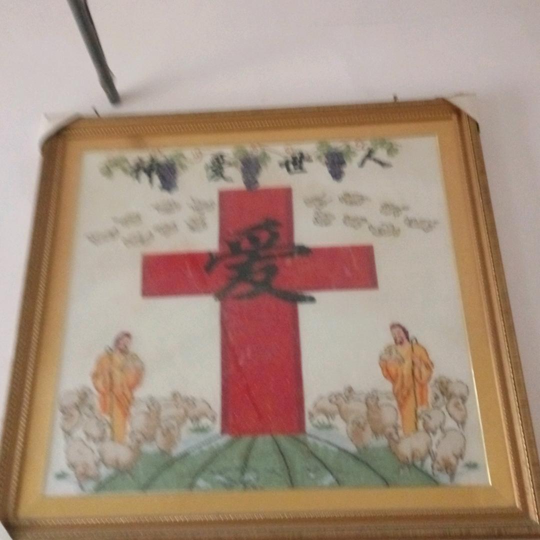 王心怡