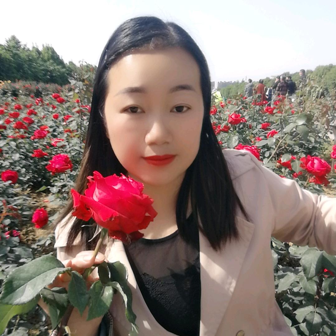 河南玲儿