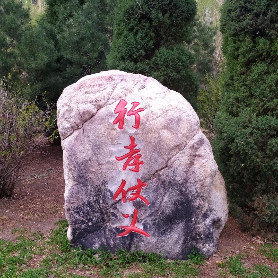 没想好叫啥