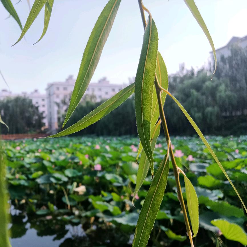 小县城不小