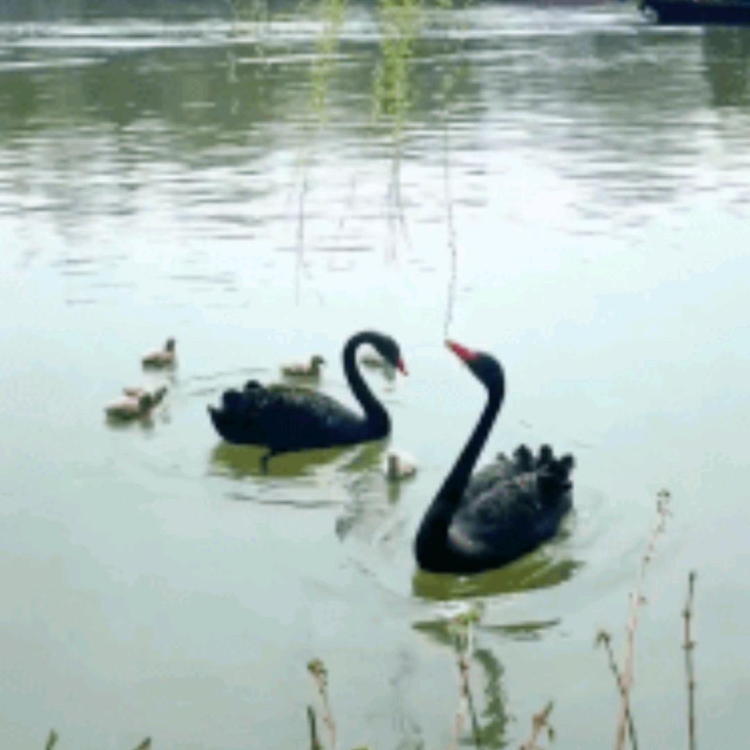 好妈妈