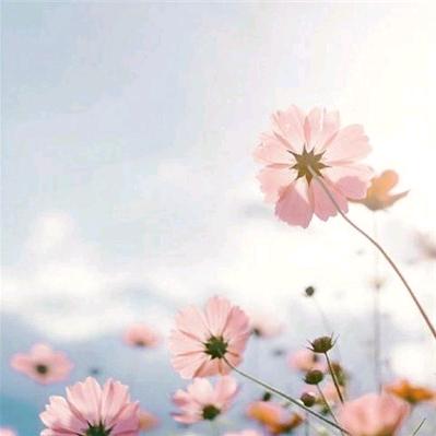 瓷砖美缝，室内装修